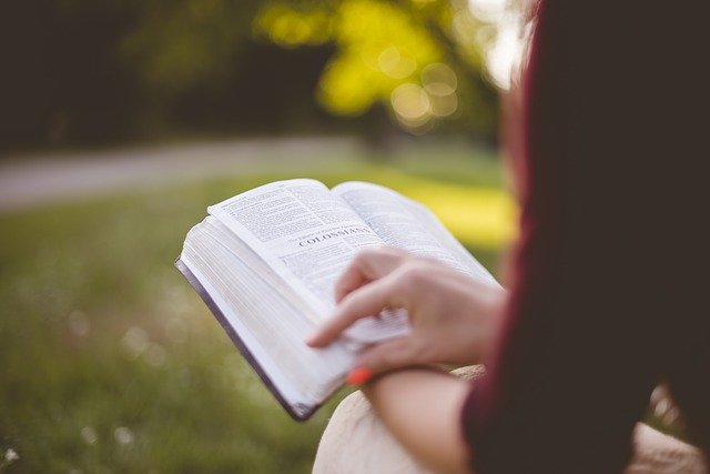 Lire des livres : une activité pratique et intéressante